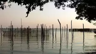 Un pescador conocido como El Indio, del ejido Las Maravillas en Centenario, Escárcega, falleció ahogado en la laguna de la comunidad.