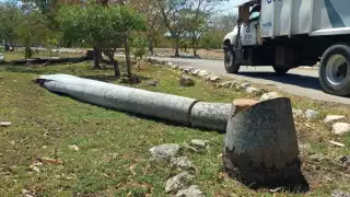 Por falta de inspección se daño nido de loros en una de esas plantas.