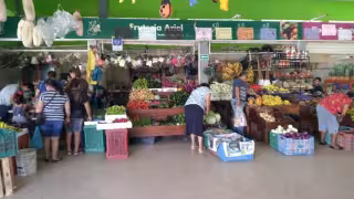 Tomate y limón bajan de precio tras alzas recientes