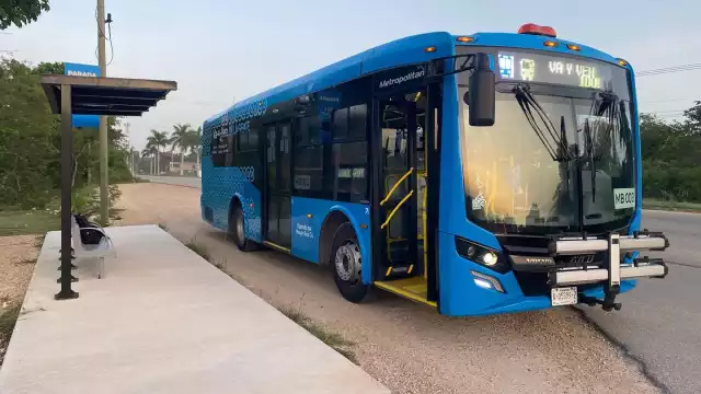 El desafortunado suceso ocurrió el pasado lunes 14 de julio