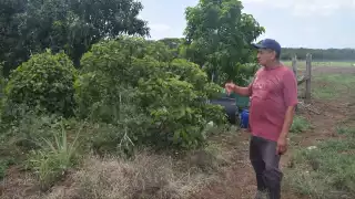 Con las obras el Gobierno de Yucatán mejora las condiciones de traslado de los productos agrícolas