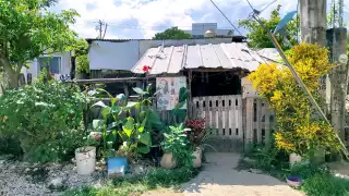 Los habitantes no cuentan con un documento que los acredite como propietarios de los predios que ocupan