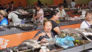 Pese a la Cuaresma, venta de mariscos en Campeche no repunta