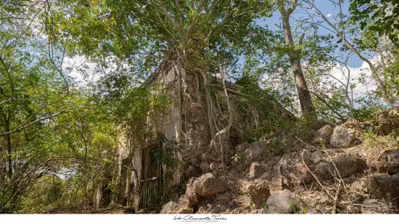 La exhacienda, una vez un bullicioso centro de producción y actividad, ahora se encuentra en el abandono total.