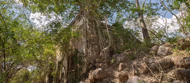 La exhacienda, una vez un bullicioso centro de producción y actividad, ahora se encuentra en el abandono total.