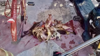 El activista acusó la falta de interés de proteger y conservar los recursos naturales