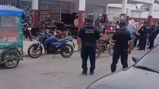 Detectan pelea de gallos ilegal en Bécal; ya hay investigación