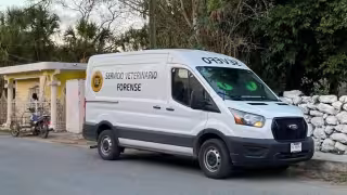 La reciente muerte de gatos y perros por consumo de sustancias nocivas preocupa a habitantes