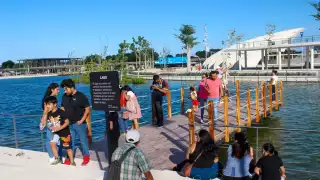 Cada mes se programan en este parque alrededor de 25 o 30 eventos abiertos en La Plancha