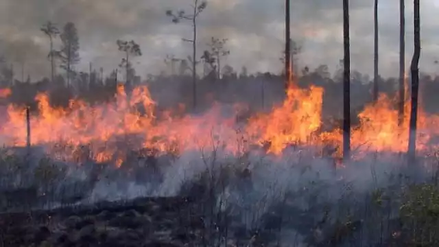 Sequía extrema riesgo de más incendios: Semabicce