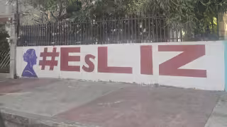 Instituto Electoral de Campeche acumula 32 quejas por actos anticipados de campaña