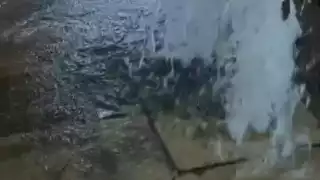 Locatarios exigen solución a inundaciones en el mercado Felipe de Andrade