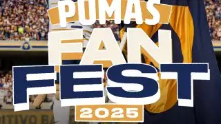 Te contamos todos los detalles