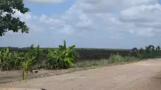 “Hay frío a principios de año y ahora se nos mueren las abejas”: Habitantes de Nohalal pasan desgracias en apenas seis meses del 2025