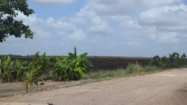 La comunidad aún no salía de problemas de salud por el frío cuando se enfrentó a la mortandad de abejas