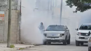 Hasta la semana 34, la entidad lleva 127 enfermos por picaduras de mosquitos, de los cuales 68 han sido clasificados como graves y con signos alarmantes