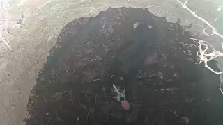 Rescatan a un perro luego de caer en un pozo de ocho metros de profundidad en Tizimín