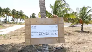 La Profepa colocó los sellos de clausura en las obras en San Bruno