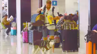 Jorge, su dueño, lo considera un amigo y compañero de trabajo