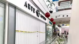 Pese a ser un centro comercial, no se cuenta con muchos elementos de seguridad