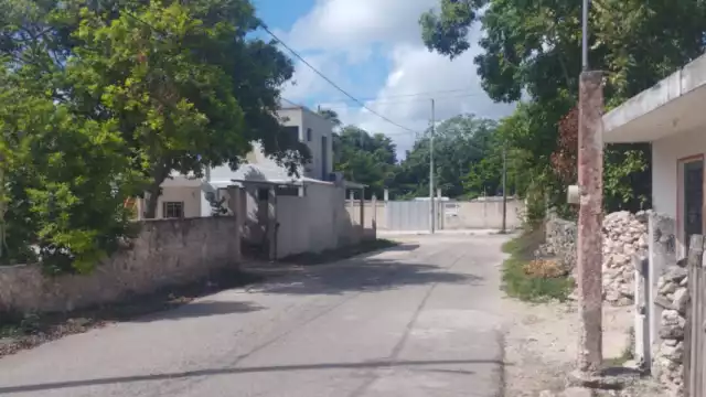 Encuentran a un can sin vida en la colonia Santa Rosa de Lima en Tizimín