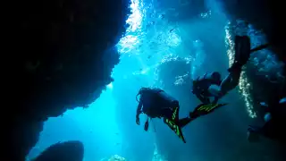 Sitio de buceo profundo en Cozumel revela riqueza biológica única