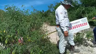 Profepa clausura mina de Holcim por invadir 117 metros cuadrados de la Reserva de la Biosfera de Calakmul