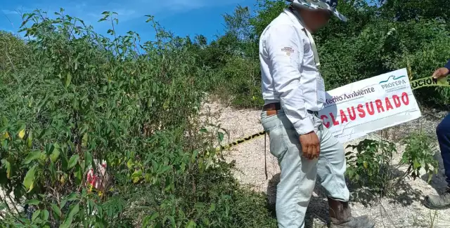 Clausuran proyecto minero en Calakmul: Profepa detecta ocupación ilegal y violaciones ambientales