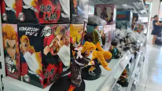 Las tiendas se ubican en las principales avenidas, plazas, mercados y el primer cuadro del destino, acaparando a los turistas, acusaron microempresarios