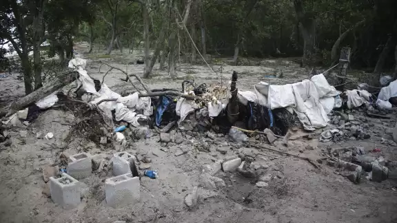 Pescadores de pepino de mar destruyen flora y fauna de la costa, en Dzilam de Bravo