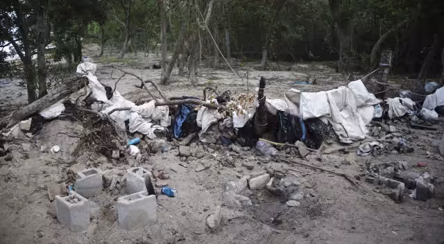 Pescadores de pepino de mar destruyen flora y fauna de la costa, en Dzilam de Bravo