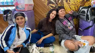 Nicole, Natasha y Caro se conocieron mientras estudiaban en la universidad; tras vivir casi toda su vida en la Riviera Maya decidieron abandonar Quintana Roo