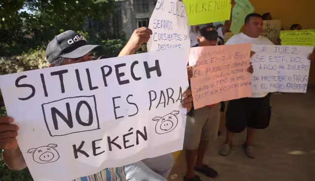 Comunidades indígenas de Yucatán exigen a la SCJN que frene el desastre socioambiental de las granjas porcícolas