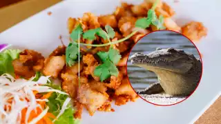 La carne de cocodrilo es un platillo exótico y raro en Campeche.