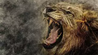 Tal como el rugido de un león, debes tener cautela con estos signos