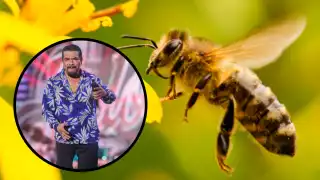 El yucateco Juan Carlos “Paleto” Tapia se ha vuelto popular por una de sus canciones