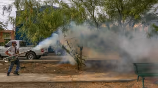 El dengue se transmite mediante la picadura de mosquitos infectados y puede afectar a personas de cualquier edad