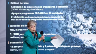 Alicia Bárcena Ibarra, secretaria de Medio Ambiente y Recursos Naturales