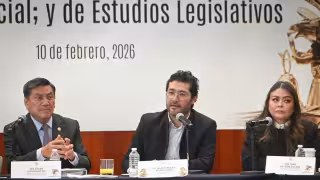 Marath Baruch Bolaños López, secretario del Trabajo y Previsión Social (Centro)