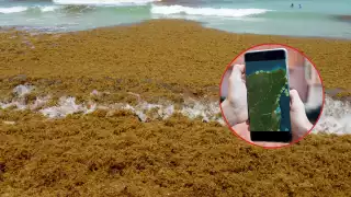 La aplicación es completamente gratis