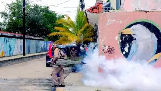 Evitar almacenar agua mucho tiempo, limpiar patios y fumigar, son unas medidas de prevención