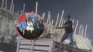 Un adulto mayor quedó inconsciente tras ser arrollado por caballos de monosabios durante una corrida en Calkiní.