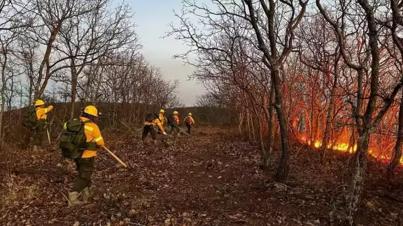 Temporada de incendios en Campeche deja más de 5 mil hectáreas afectadas