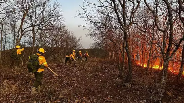 Temporada de incendios en Campeche deja más de 5 mil hectáreas afectadas