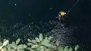 Estudiantes, autoridades e iniciativa privada retiran 152 kilogramos de desperdicios en el Xi’im Há