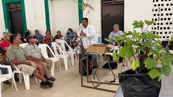 Ejidatarios de Hopelchén fueron adiestrados en la siembra, cosecha, empaque y comercialización de jamaica por Proalmex y la CNC.