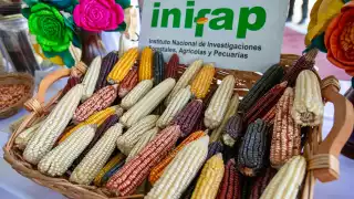 El proyecto incluye a productores, instituciones financieras y empresas de insumos