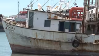 Pescadores de Carmen en riesgo de perder apoyos de Bienpesca por tarjetas vencidas