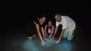 En abril comienza el fenómeno natural conocido bioluminiscencia, el cual genera que el agua destelle