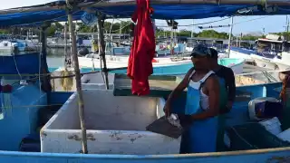 Los hombres de mar están esperanzados en la apertura para la captura de pulpo, el 1 de agosto